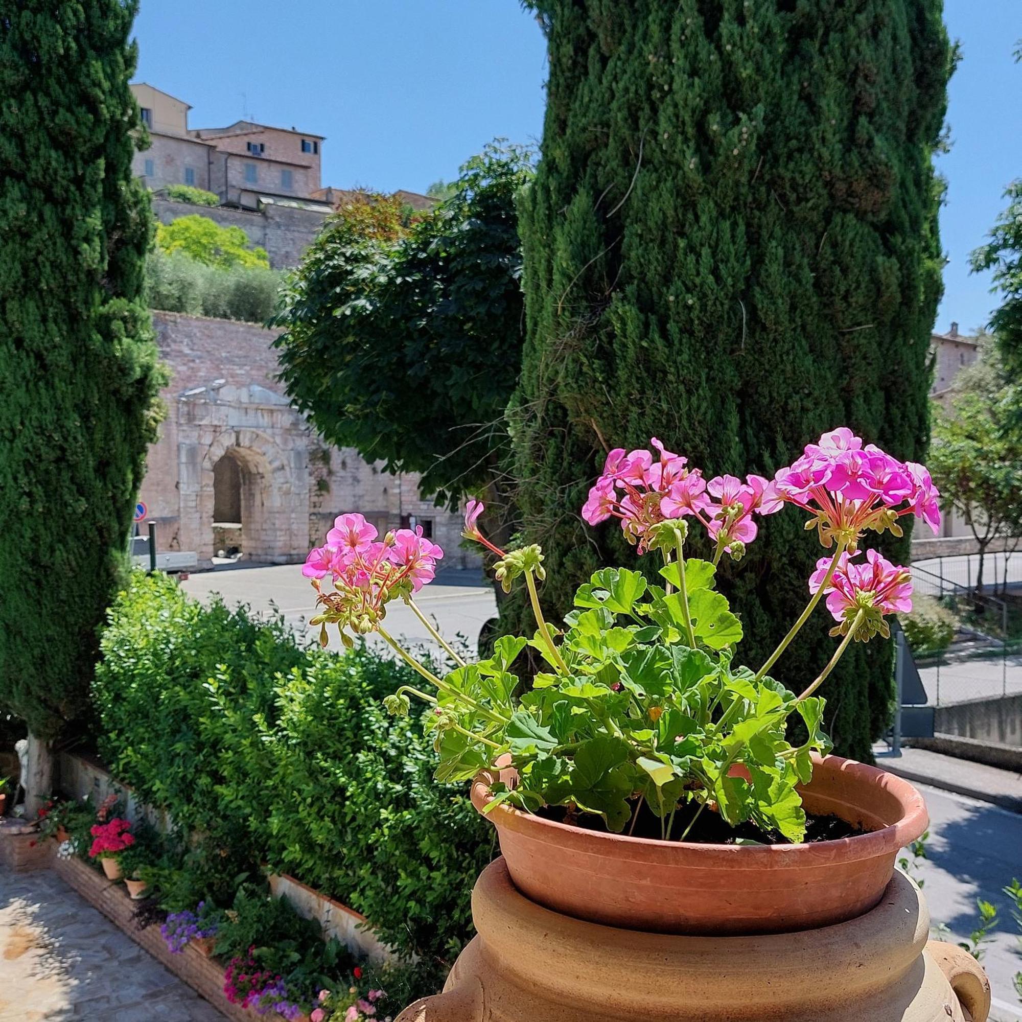 Villamena Spello Rom bilde